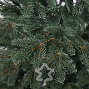 Jedľa Sibírska 100% 150 cm