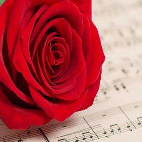 Ozdobný paraván Červená růže květ hudby - 145x170 cm, štvordielny, obojstranný paraván 360°