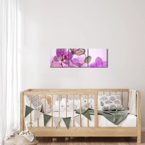 Obraz - Motýľ na kvetoch orchidey, lila (s hodinami) (90x30 cm)