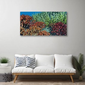 Obraz Canvas Koralový útes príroda 120x60 cm