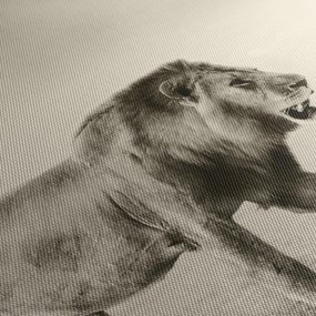 Obraz - Hladný lev (120x50 cm)