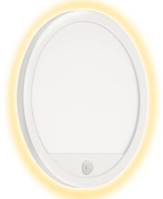 Telefunken 313706TF-LED Vonkajšie nástenné svietidlo so senzorom LED/15W/230V IP44