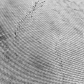 Obraz - Pampas grass N⁰1 (120x50 cm)