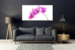 Obraz plexi Vstavač kvet orchidea 120x60 cm