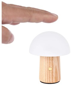 LED stolová lampa z jaseňového dreva so stmievačom v prírodnej farbe (výška 7 cm) Alice – Gingko