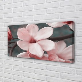 Obraz canvas ružové kvety 125x50 cm