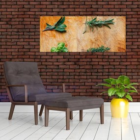 Obraz - Bylinky (120x50 cm)