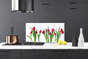 Sklenený obklad Do kuchyne Tulipány kvety rastlina 100x50 cm