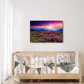 Obraz - Horská rozkvitnutá krajina (90x60 cm)