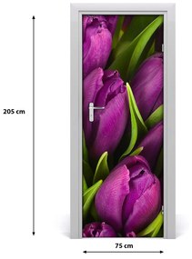 Fototapeta samolepiace fialové tulipány 75x205 cm