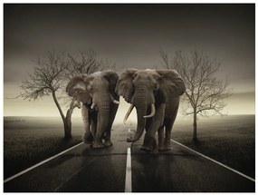 Artgeist Fototapeta - City of elephants Veľkosť: 200x154, Verzia: Premium