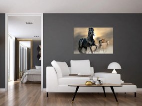 Obraz - Kone (90x60 cm)