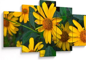 Obraz žltých kvetov (150x105 cm)