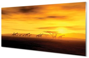 Nástenný panel  Strom mraky neba žirafa 100x50 cm