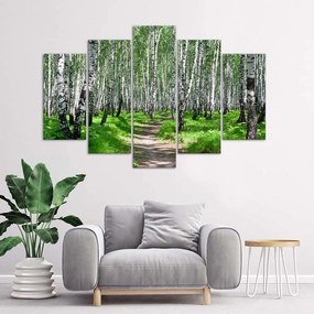 Obraz na plátně pětidílný Příroda březového lesa - 200x100 cm
