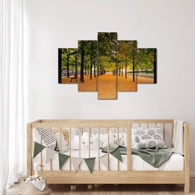 Obraz aleje jesenných stromov (150x105 cm)