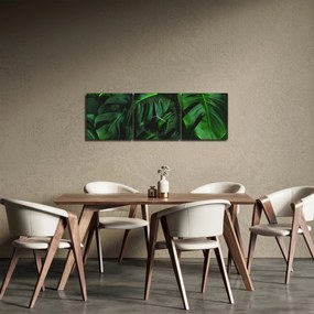 Obraz listov Monstery (s hodinami) (90x30 cm)