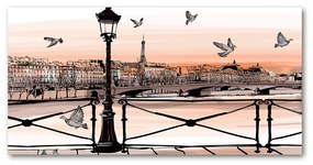 Foto obraz akrylový Súmrak v Paríži oah-77436218