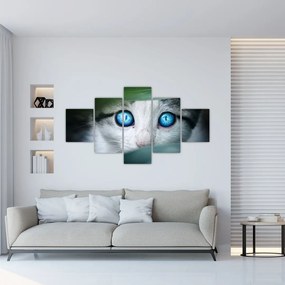 Obraz mačky (125x70 cm), 40 ďalších rozmerov
