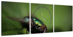 Obraz- Mucha (s hodinami) (90x30 cm)