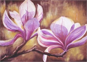 Obraz - Kvety magnólie (70x50 cm)