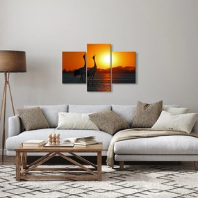 Obraz vtákov pri západe slnka (90x60 cm)