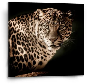 Sablio Obraz Leopard - 50x50 cm