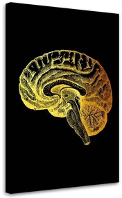 Gario Obraz na plátne Zlatá anatómia, mozog - Gab Fernando Rozmery: 40 x 60 cm
