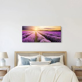 Obraz - Východ slnka v levanduľovom poli (120x50 cm)