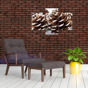 Obraz - Šišky (90x60 cm)