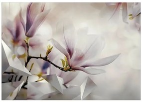 Samolepiaca fototapeta - Subtle Magnolias - First Variant Veľkosť: 245x175, Verzia: Samolepiaca