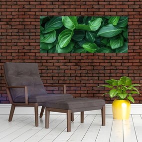 Obraz - Zelené listy (120x50 cm)
