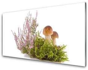 Obraz plexi Huby rastlina príroda 120x60 cm