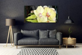 Obraz plexi Okvetné plátky orchidea 120x60 cm