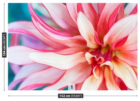 Fototapeta Vliesová Exotická kvetina 312x219 cm