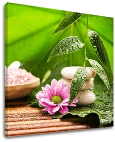 Obraz na stenu FENG SHUI | rôzne rozmery