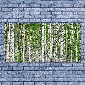 Obraz na akrylátovom skle Breza les stromy príroda 120x60 cm