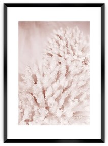 Plagát Pastel Pink II