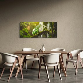 Obraz chameleóna (120x50 cm)