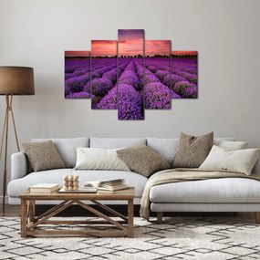 Obraz - Levanduľové pole (150x105 cm)