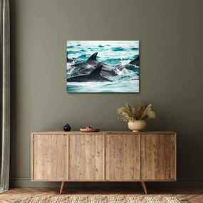 Obraz - Delfíny v oceáne (70x50 cm)