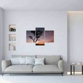 Obraz - Strom a červánky (90x60 cm)