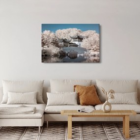 Obraz - Rozkvitnuté stromy v Ázii (90x60 cm)