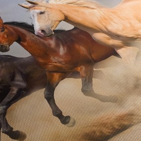 Obraz - Divé kone (120x50 cm)