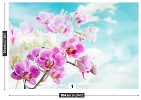 Fototapeta Vliesová Orchidey modrá 250x104 cm