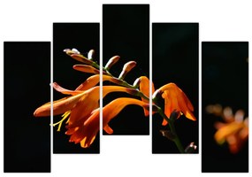 Obraz detailu kvety
