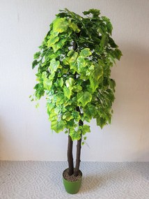 Hrozno zelené 180 cm