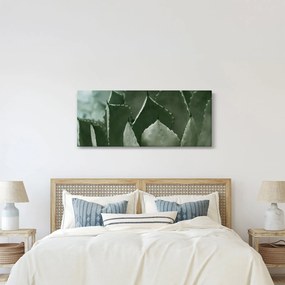 Obraz - Zelená agáve (120x50 cm)