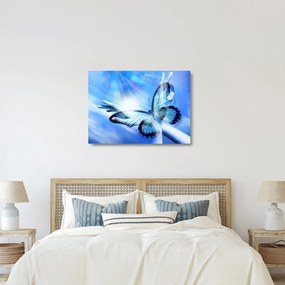 Sklenený obraz - Motýľ, symbol nádeje (70x50 cm)