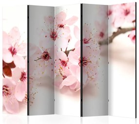 Artgeist Paraván -  Cherry Blossom II [Room Dividers]
